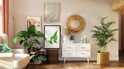 Plants-in-Living-room