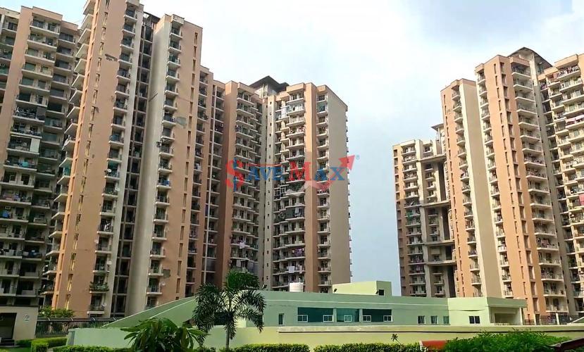 Amrapali Pan Oasis Image